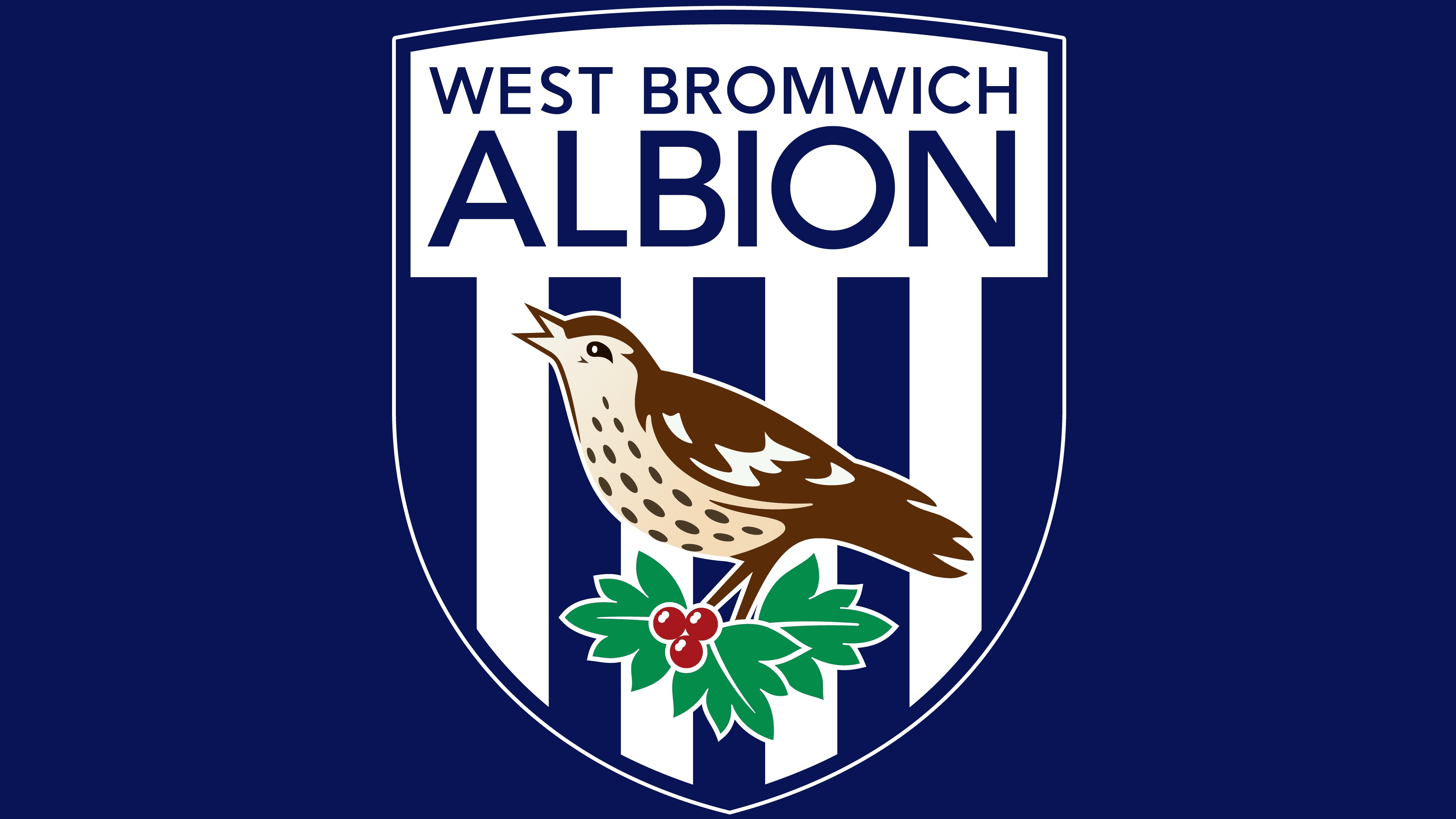 Biểu tượng logo của đội bóng West Brom